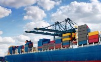 bills of lading expert witness