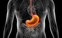 Heartburn and Acid Reflux or GERD