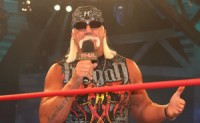 Hulk Hogan’s Experts Testify Against Gawker