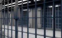 Expert Witness Report Alleges Negligence in Prison Death