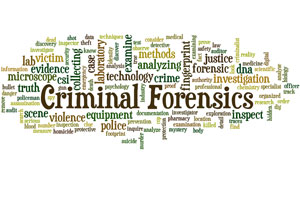 Criminal Forensics, word cloud concept 11