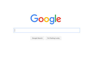 Google Search Window
