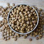 Dog Food