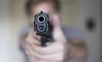 Gun