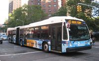 MTA Bus